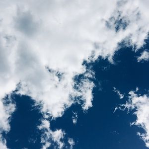 Meet your Posher, Leilani